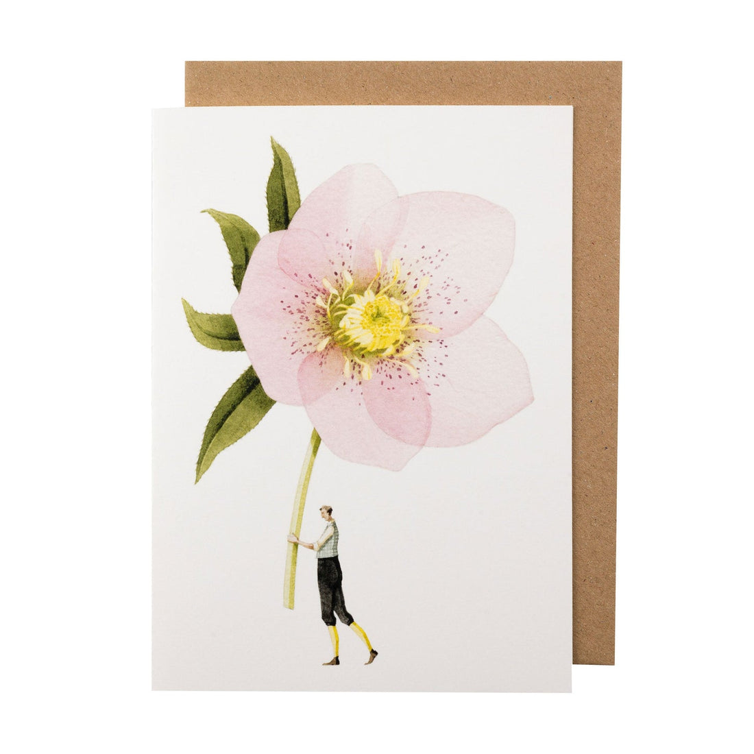 LAURA STODDART PINK HELEBORE GREETING CARD