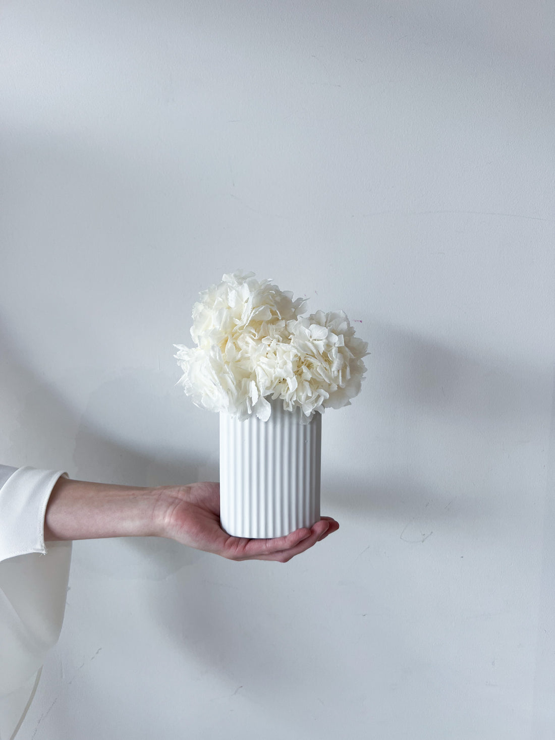MINI RIPPLE VASE AND PRESERVED HYDRANGEA ARRANGEMENT - WHITE X WHITE