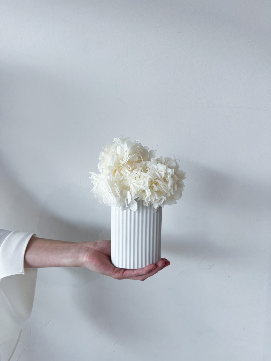 MINI RIPPLE VASE AND PRESERVED HYDRANGEA ARRANGEMENT - WHITE X WHITE