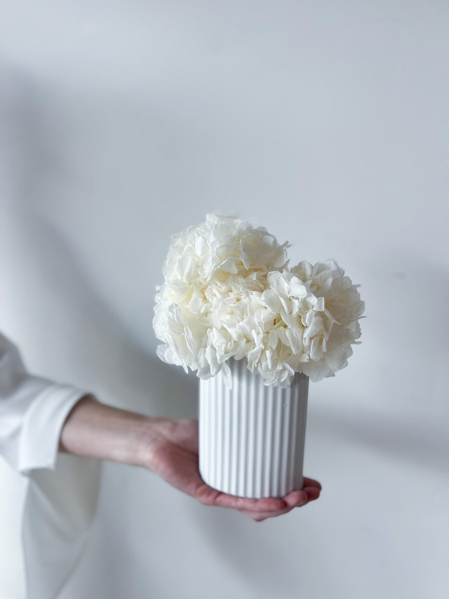 MINI RIPPLE VASE AND PRESERVED HYDRANGEA ARRANGEMENT - WHITE X WHITE