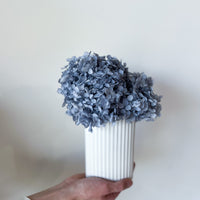 MINI RIPPLE VASE AND PRESERVED HYDRANGEA ARRANGEMENT - WHITE X GREY BLUE