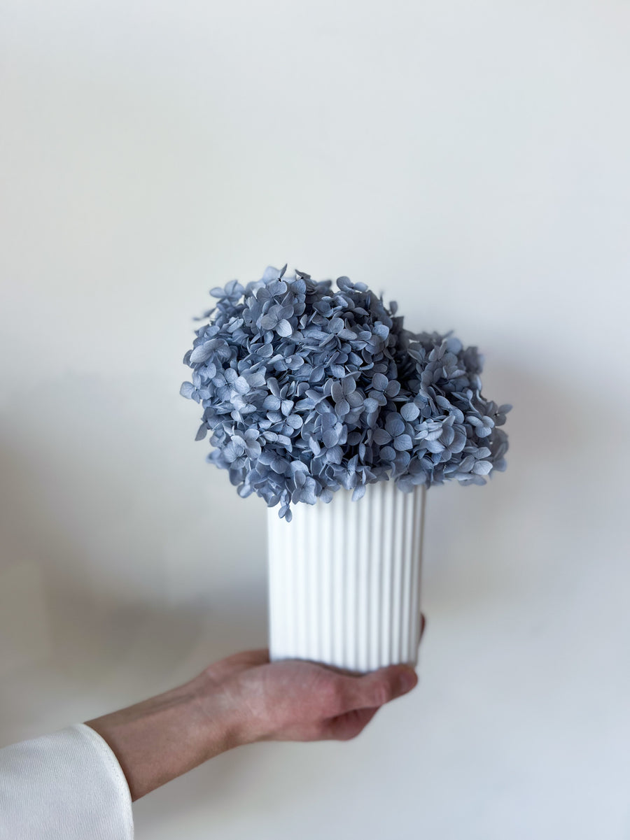 MINI RIPPLE VASE AND PRESERVED HYDRANGEA ARRANGEMENT - WHITE X GREY BLUE