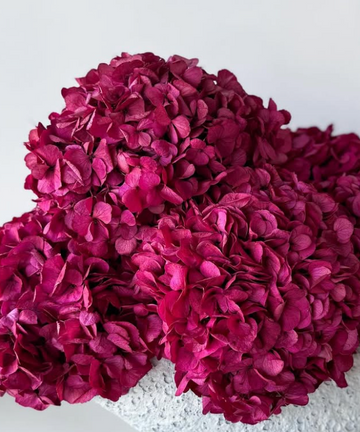 PRESERVED HYDRANGEA STEM I DEEP FUCHSIA I LARGE-LEAF
