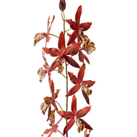 ORCHID ONCIDIUM STEM | RED | SOFT-TOUCH