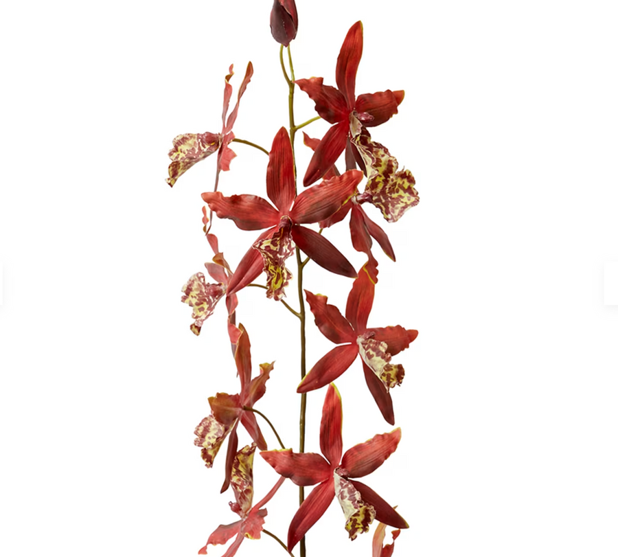 ORCHID ONCIDIUM STEM | RED | SOFT-TOUCH