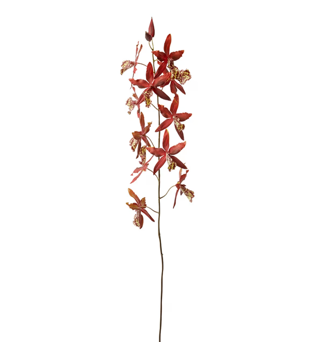 ORCHID ONCIDIUM STEM | RED | SOFT-TOUCH