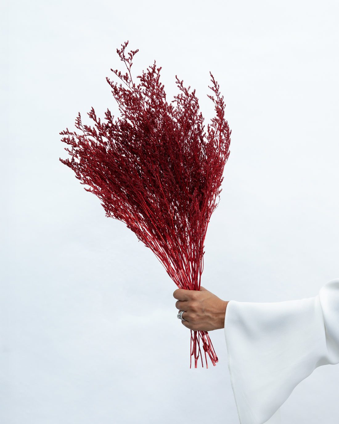 PRESERVED MISTY | WINE RED