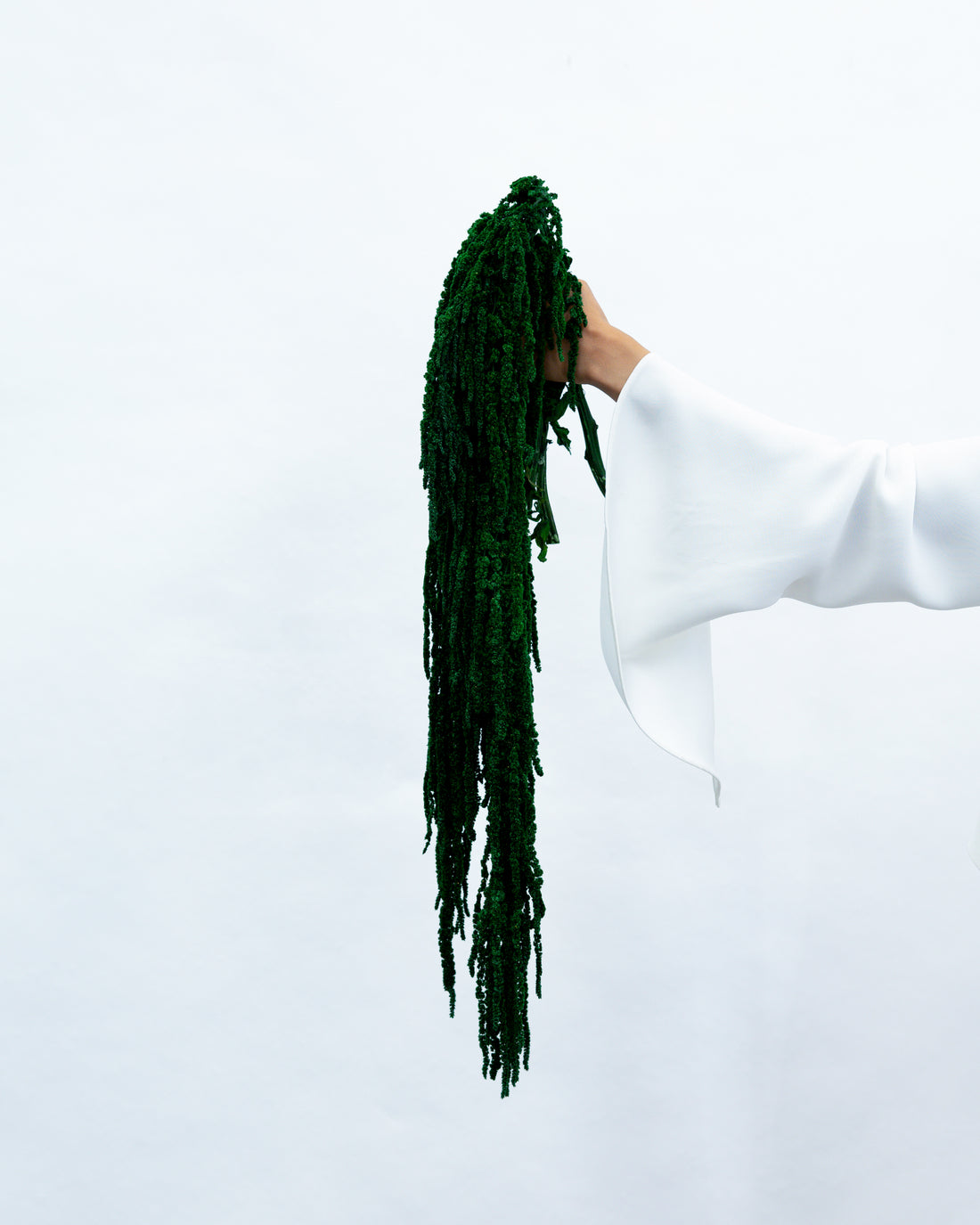 PRESERVED AMARANTHUS | EMERALD GREEN