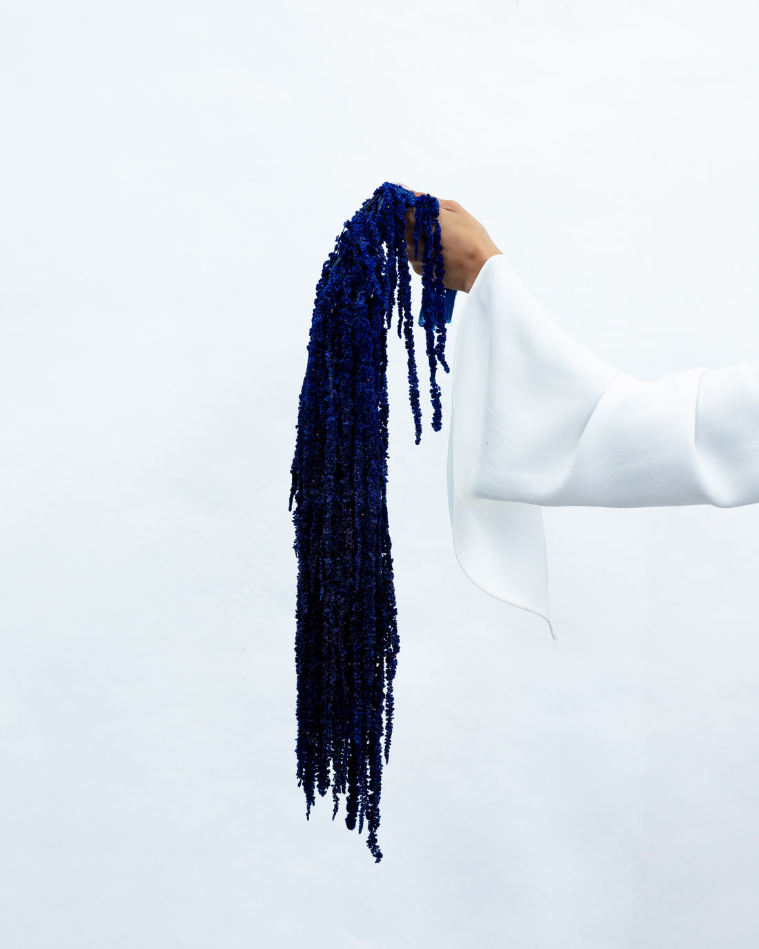 PRESERVED AMARANTHUS | NAVY