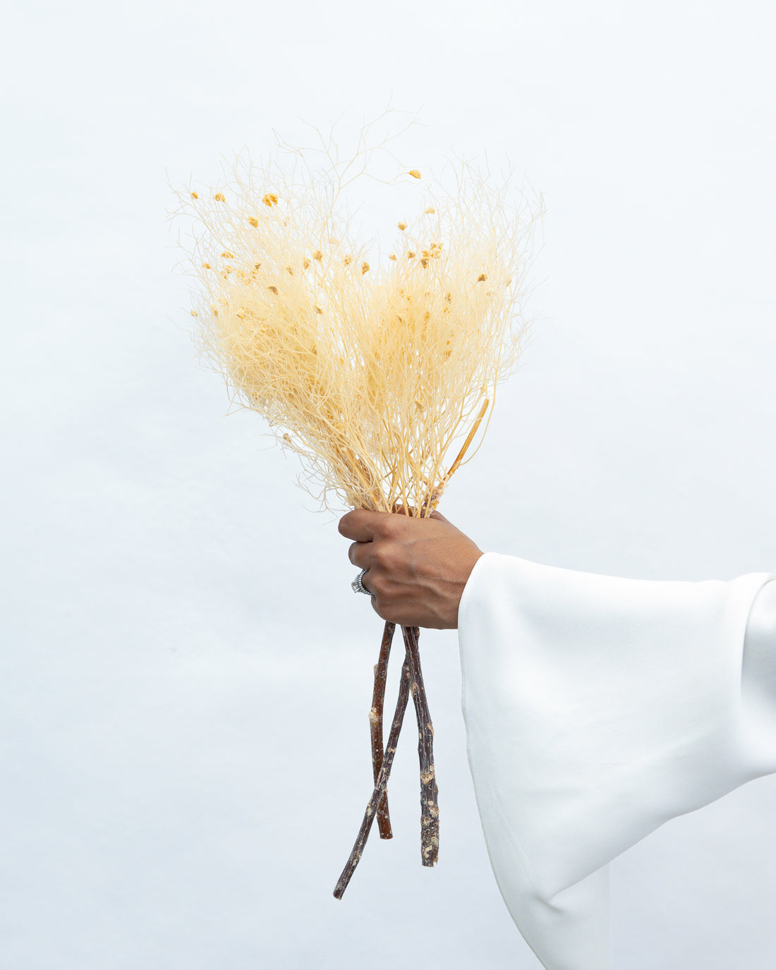 PRESERVED DREAM GRASS | CHAMPAGNE