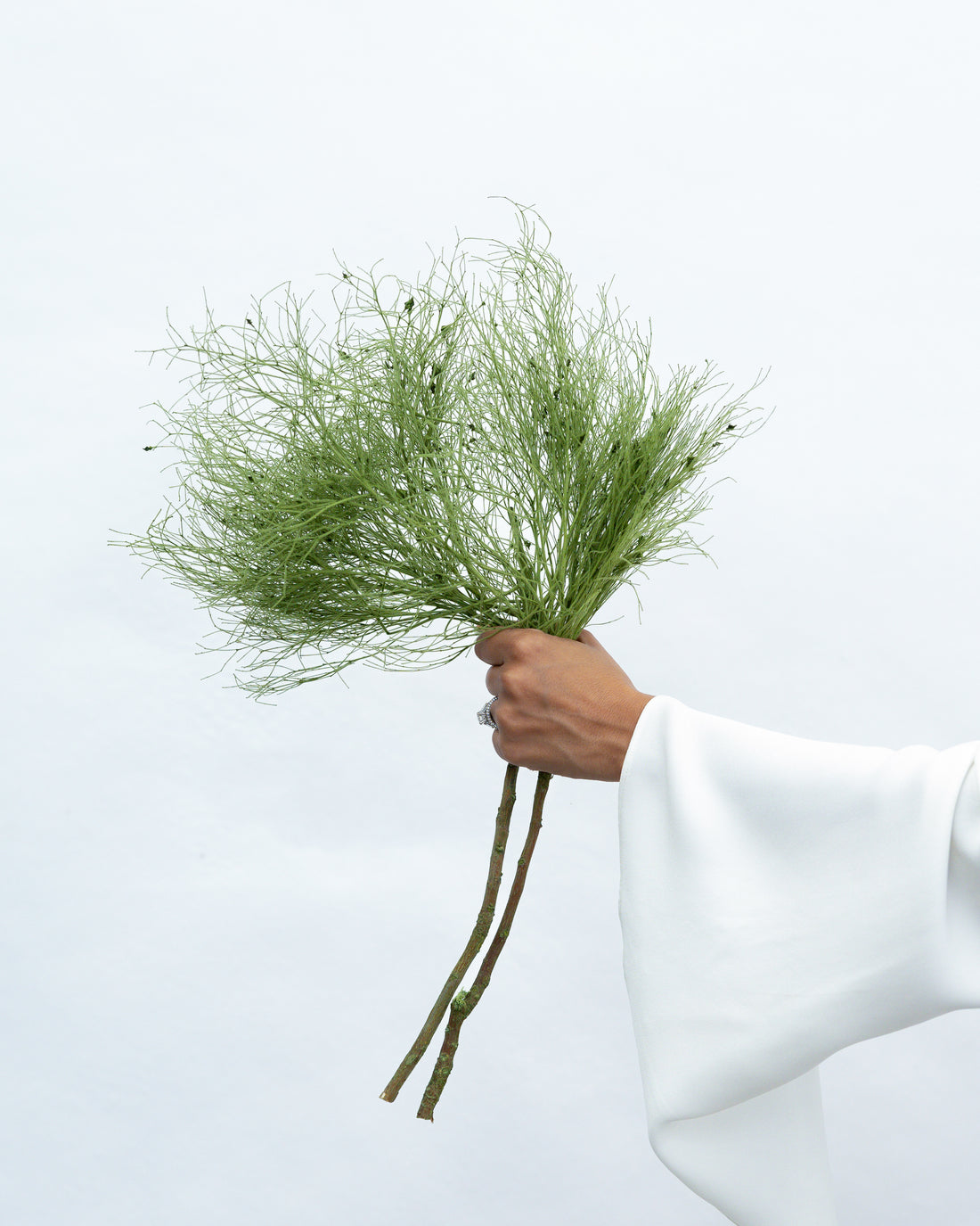 PRESERVED DREAM GRASS | DEEP GREEN