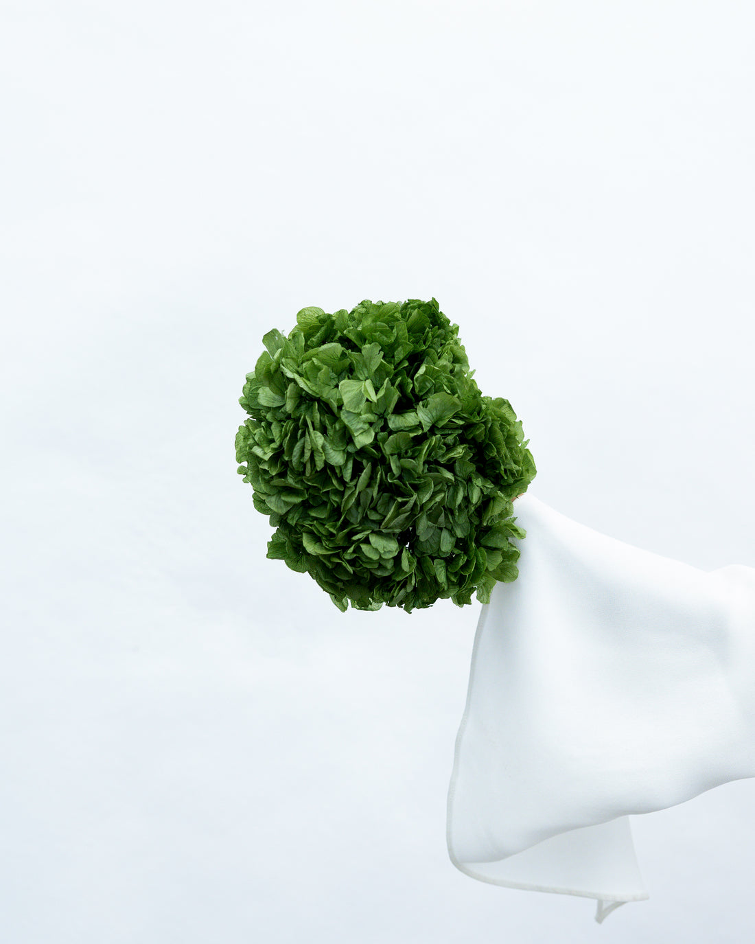 PRESERVED HYDRANGEA STEM I ARMY GREEN I LARGE-LEAF
