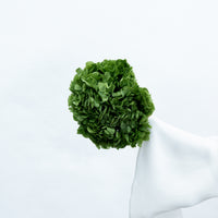 PRESERVED HYDRANGEA STEM I ARMY GREEN I LARGE-LEAF