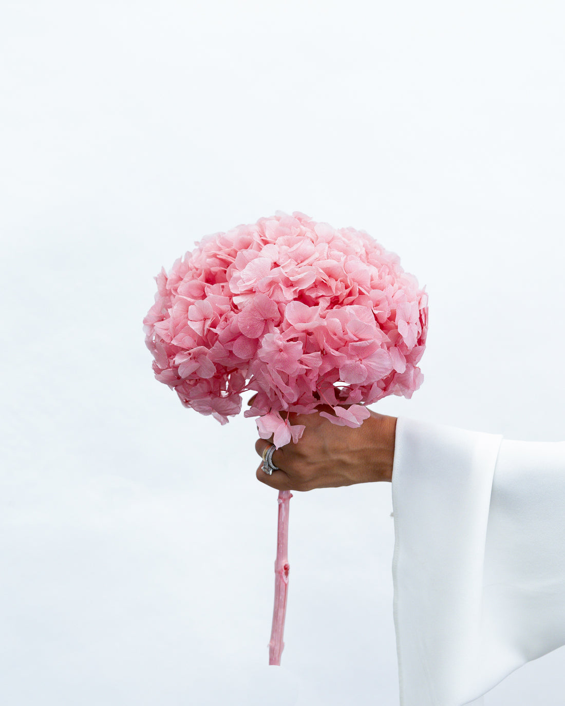 PRESERVED HYDRANGEA STEM I ROSE-PINK I LARGE-LEAF