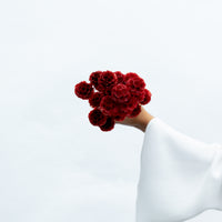 PRESERVED SCABIOSA | DEEP RED