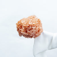 PRESERVED HYDRANGEA STEM I BLUSH I LARGE-LEAF