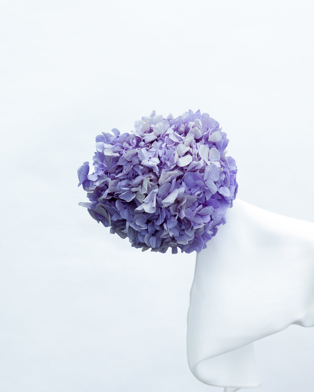 PRESERVED HYDRANGEA STEM I LAVENDER I LARGE-LEAF I