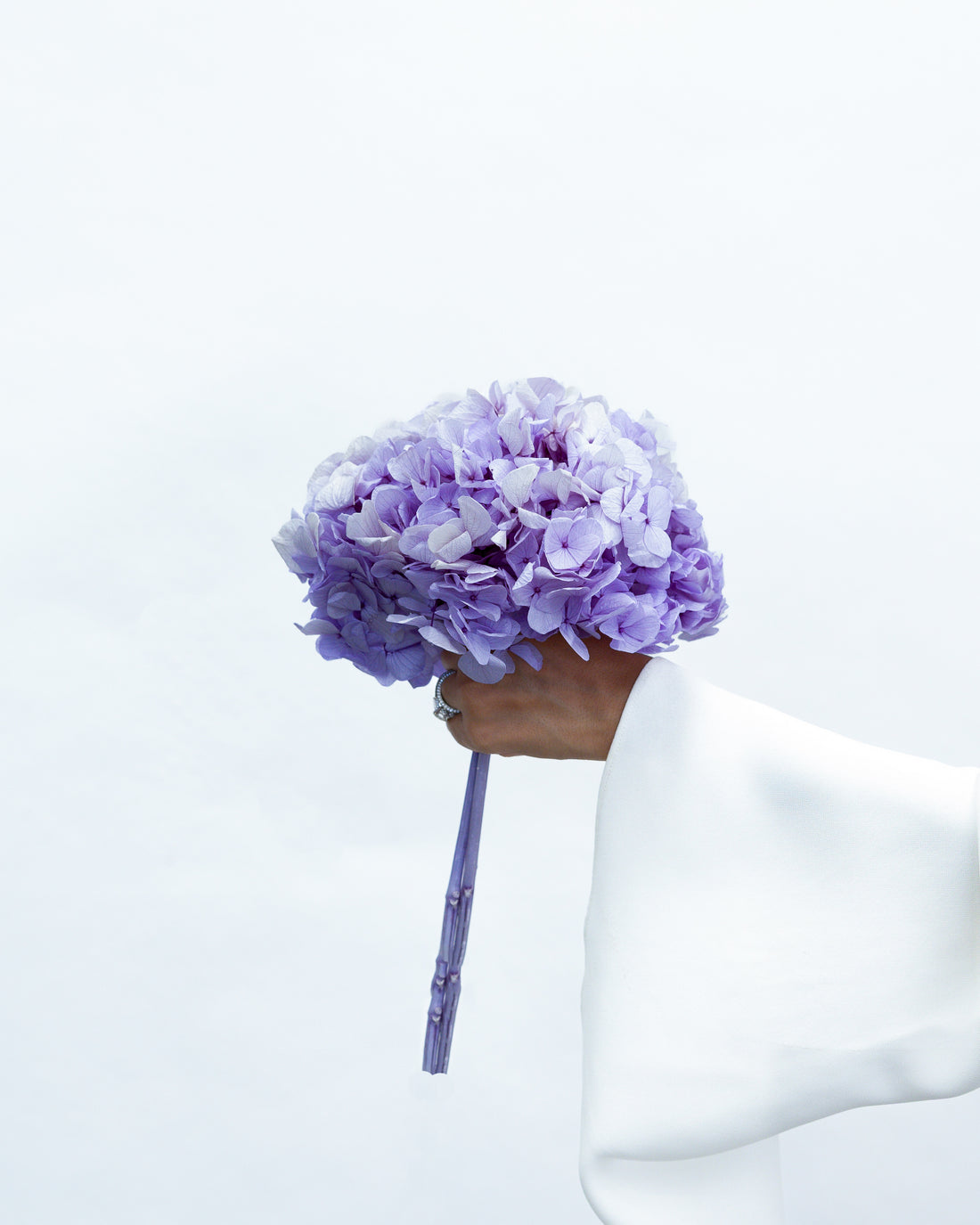 PRESERVED HYDRANGEA STEM I LAVENDER I LARGE-LEAF I