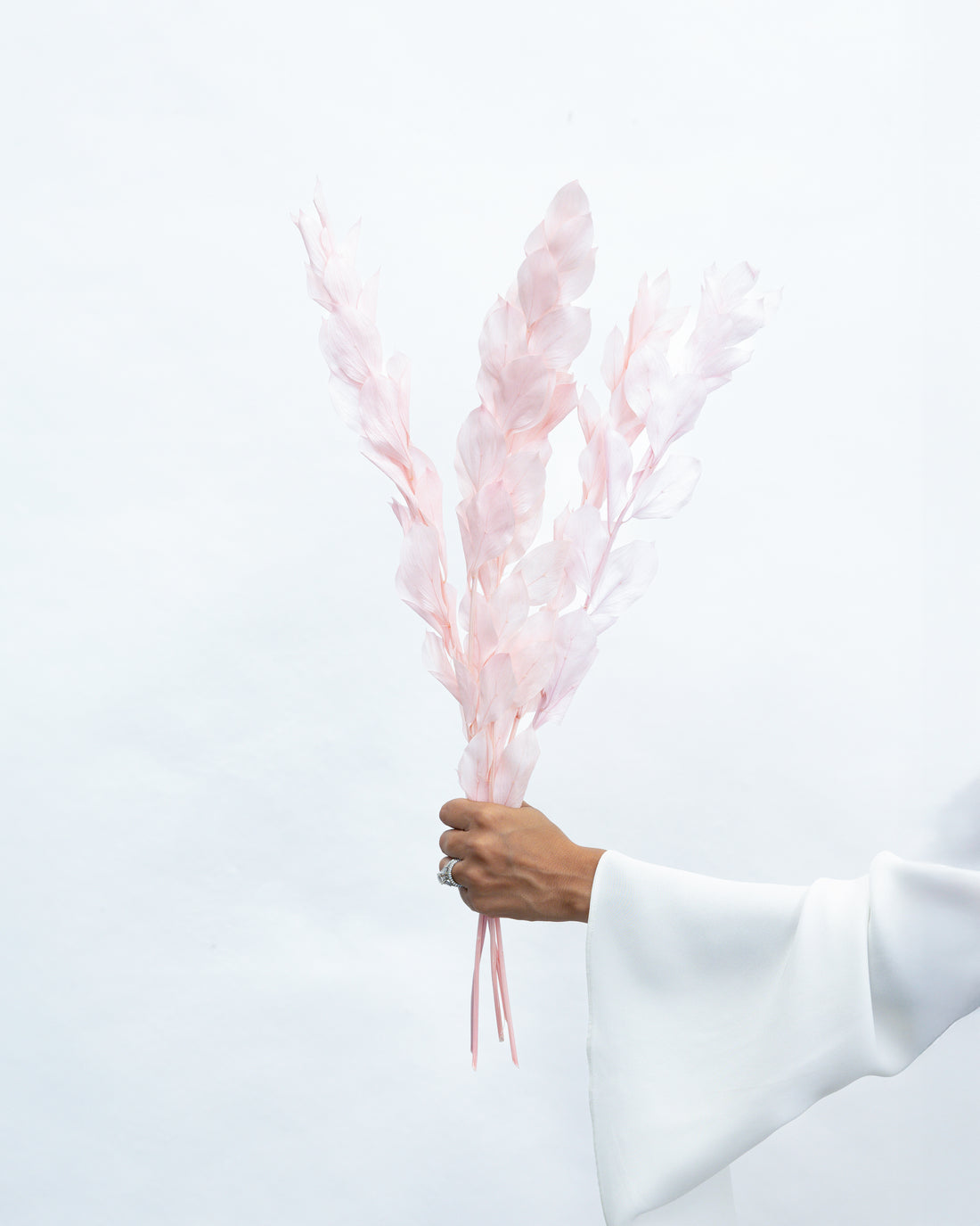 ISRAEILI RUSCUS | SOFT PINK