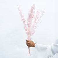 ISRAEILI RUSCUS | SOFT PINK