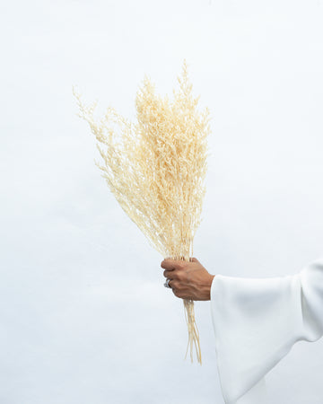 Dried & Preserved Flowers & Foliage | The Palmier