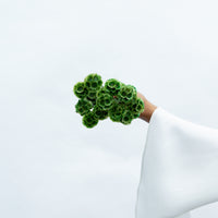 Forest green preserved scabiosa by The Palmier