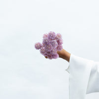 PRESERVED SCABIOSA | LILAC