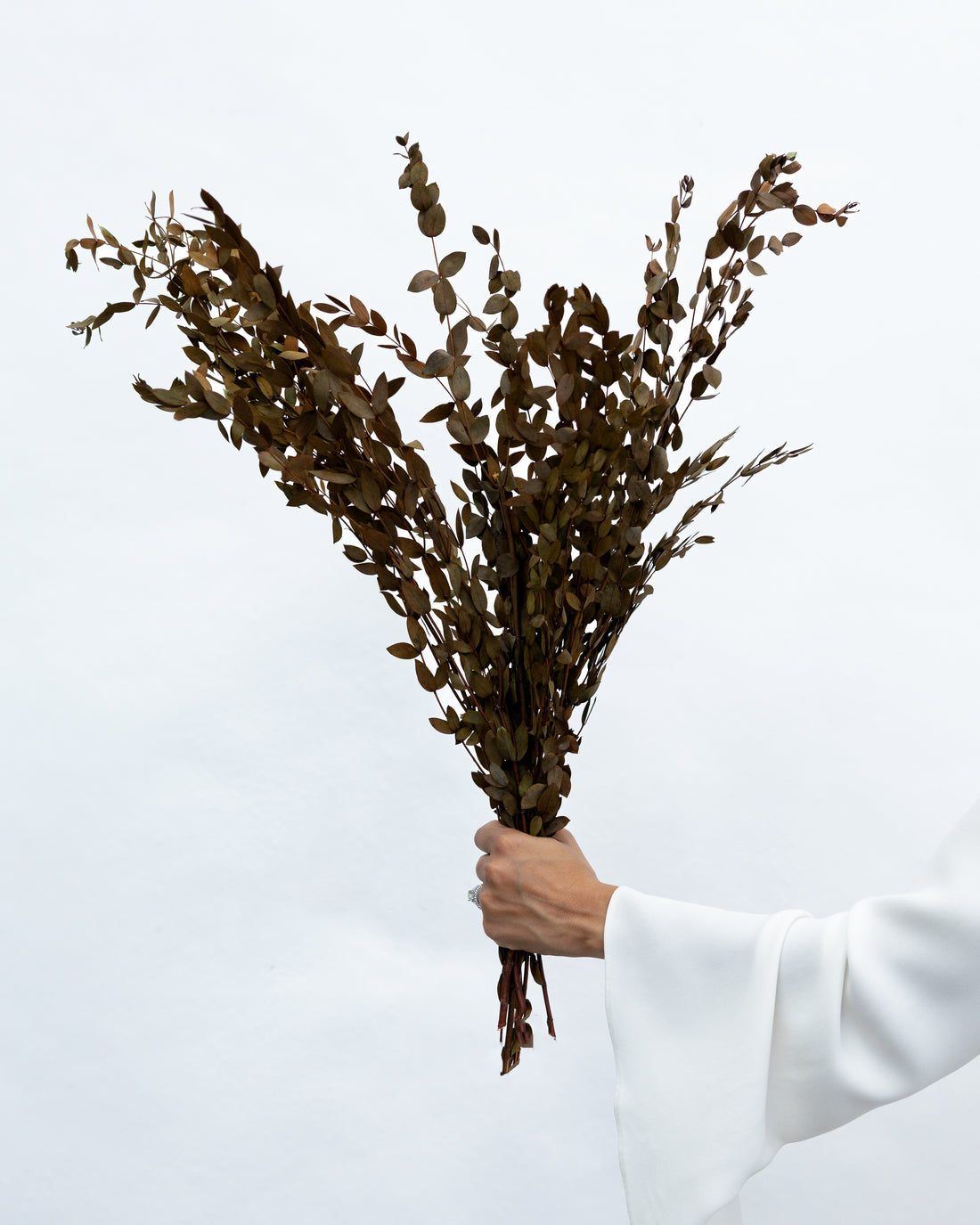 PRESERVED SMALL-LEAF GUM | DEEP NATURAL