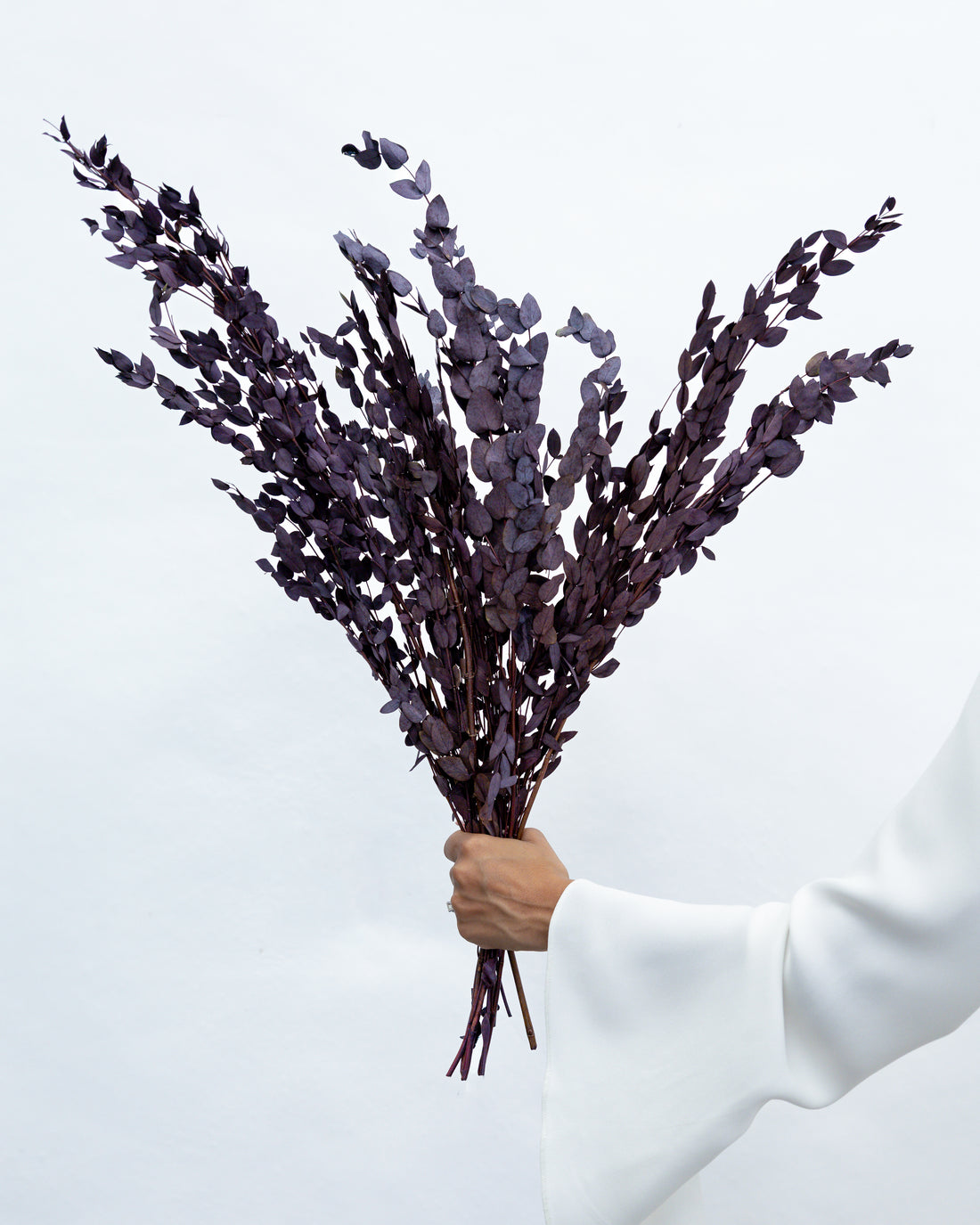PRESERVED SMALL-LEAF GUM | DEEP PLUM