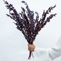 PRESERVED SMALL-LEAF GUM | DEEP PLUM
