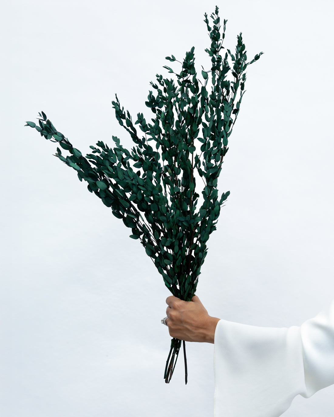 PRESERVED SMALL-LEAF GUM | DEEP SEA GREEN