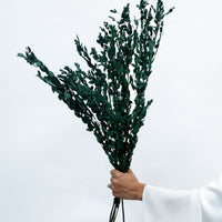 PRESERVED SMALL-LEAF GUM | DEEP SEA GREEN