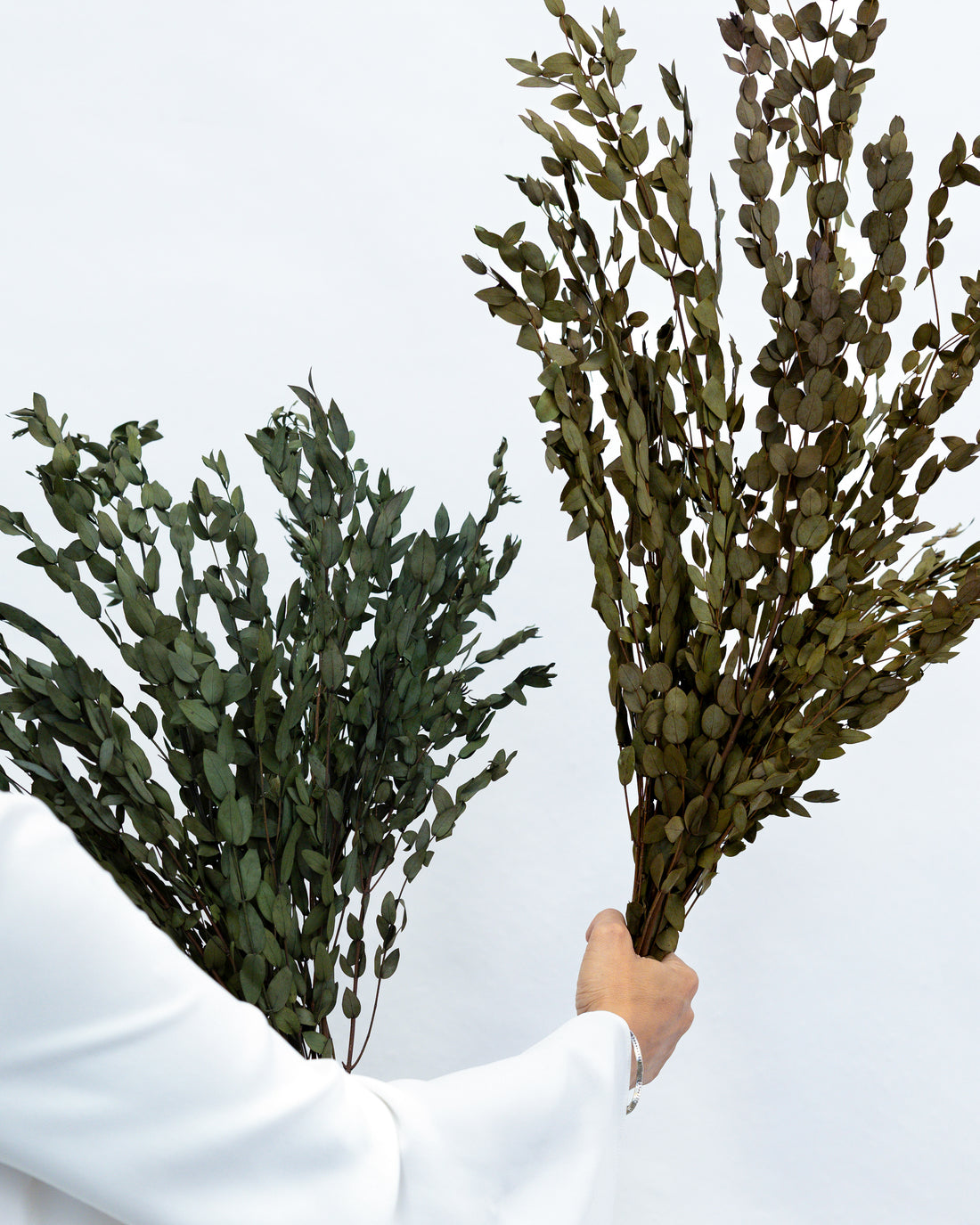 PRESERVED SMALL-LEAF GUM | DEEP SEA GREEN