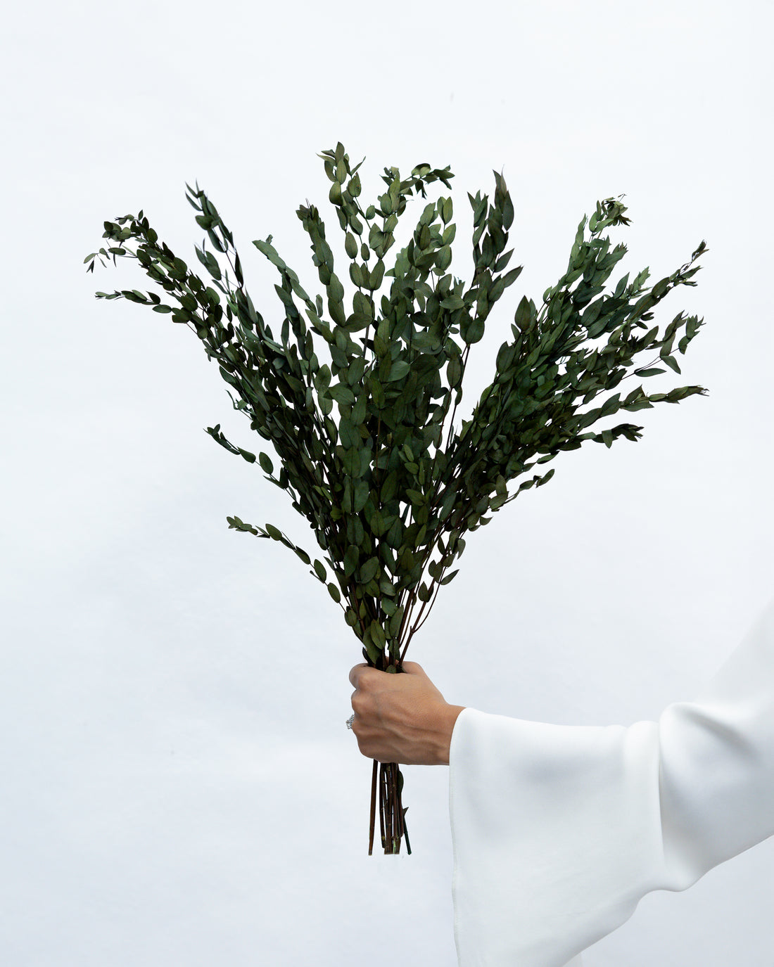 PRESERVED SMALL-LEAF GUM | OLIVE GREEN