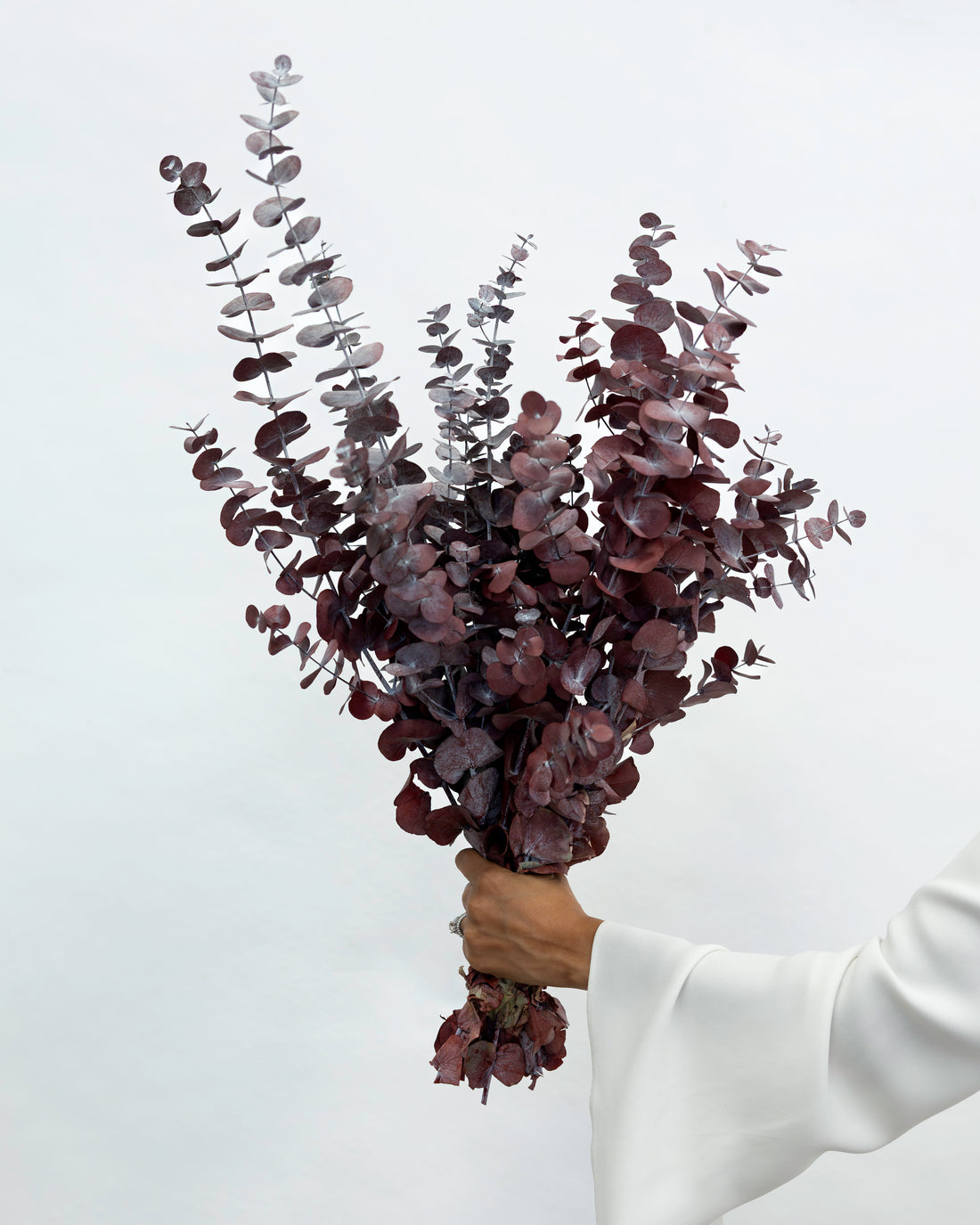 PRESERVED GUM | BURGUNDY