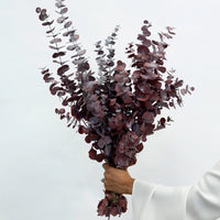 PRESERVED GUM | BURGUNDY