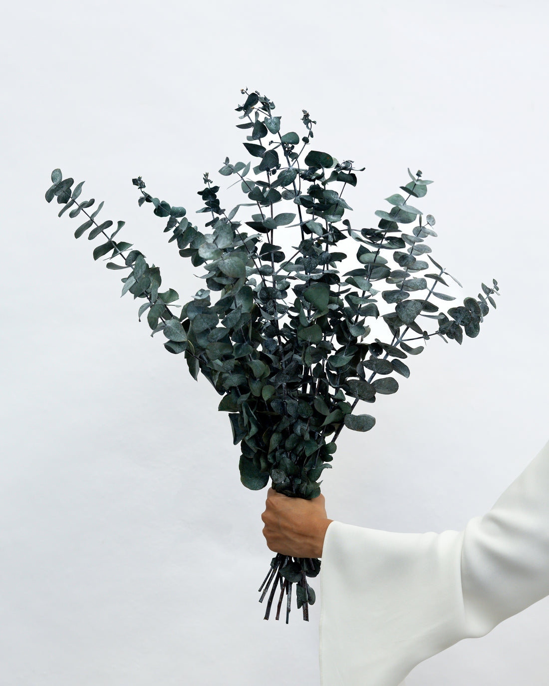 PRESERVED GUM | GREEN