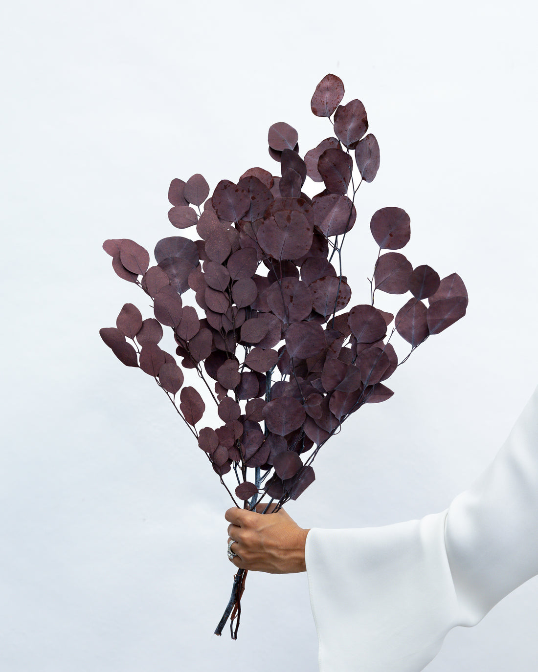 PRESERVED POLYGUM FOLIAGE | BURGUNDY