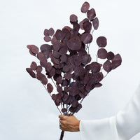 PRESERVED POLYGUM FOLIAGE | BURGUNDY