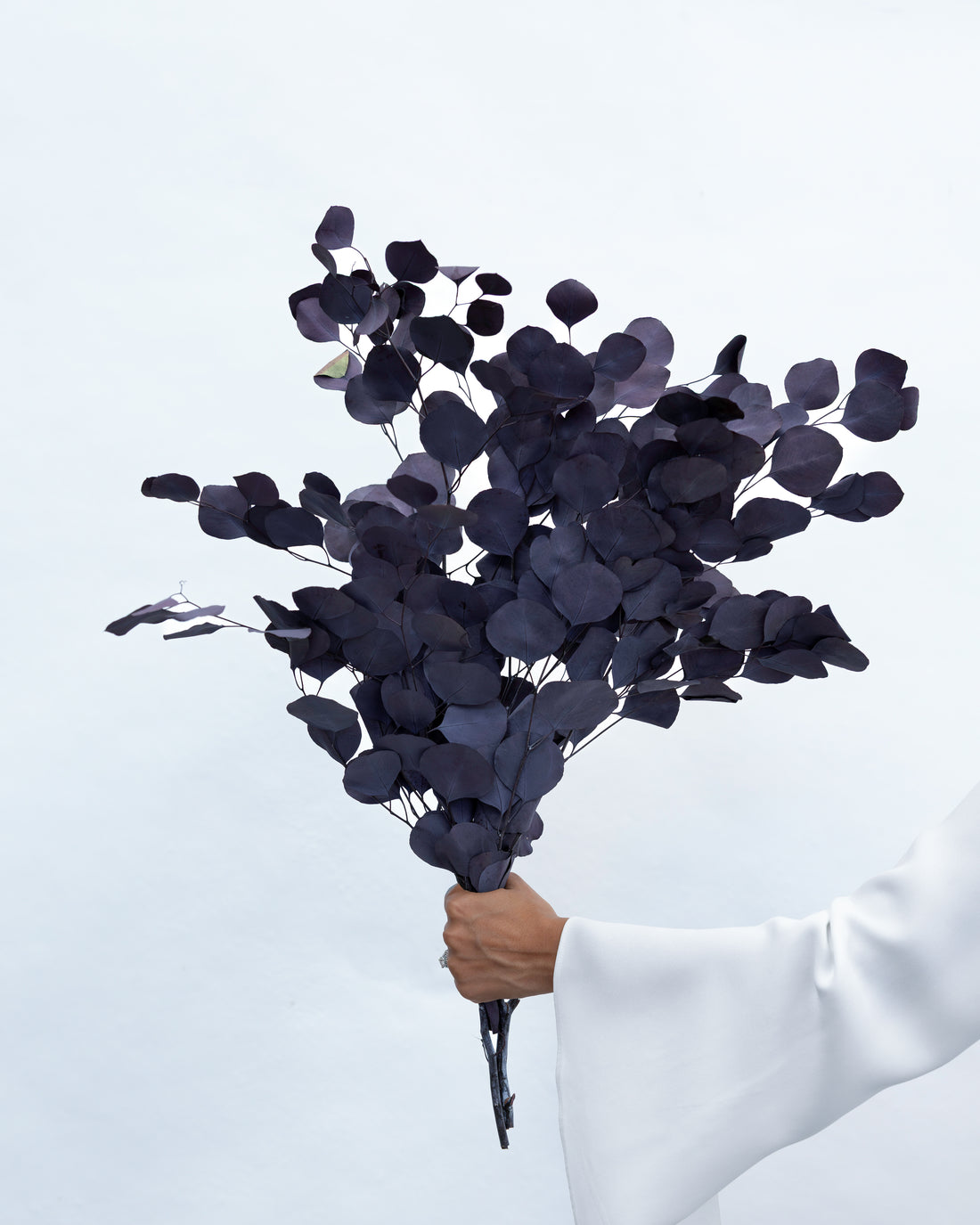 PRESERVED POLYGUM FOLIAGE | PLUM