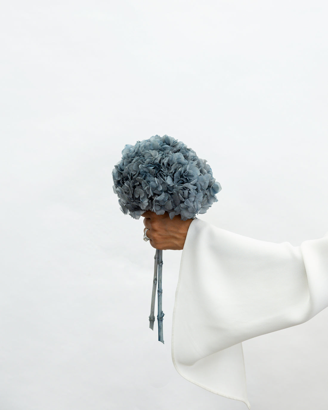 PRESERVED HYDRANGEA STEM I DEEP GREY-BLUE I LARGE-LEAF