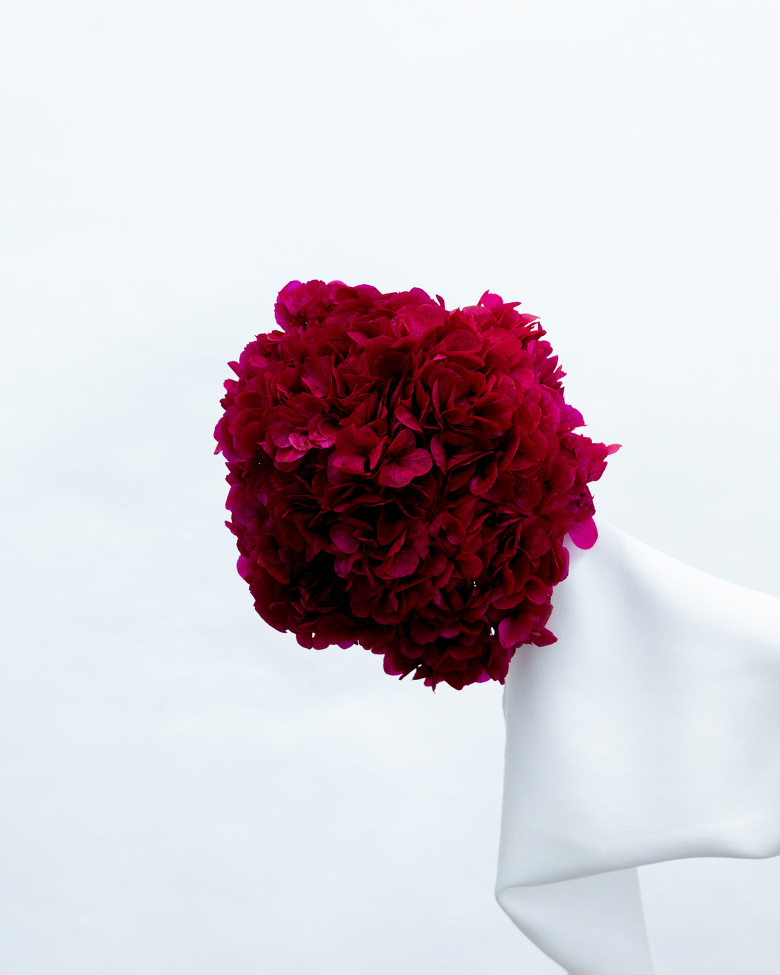 PRESERVED HYDRANGEA STEM I DEEP FUCHSIA I LARGE-LEAF