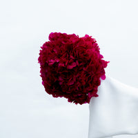PRESERVED HYDRANGEA STEM I DEEP FUCHSIA I LARGE-LEAF