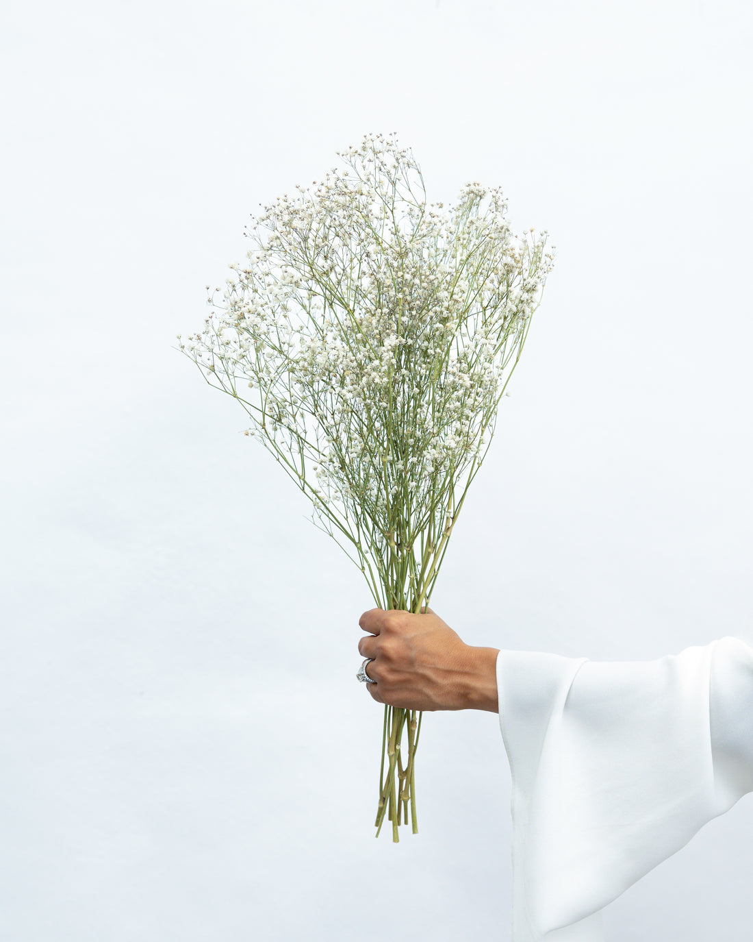 DRIED BABY'S BREATH | NATURAL