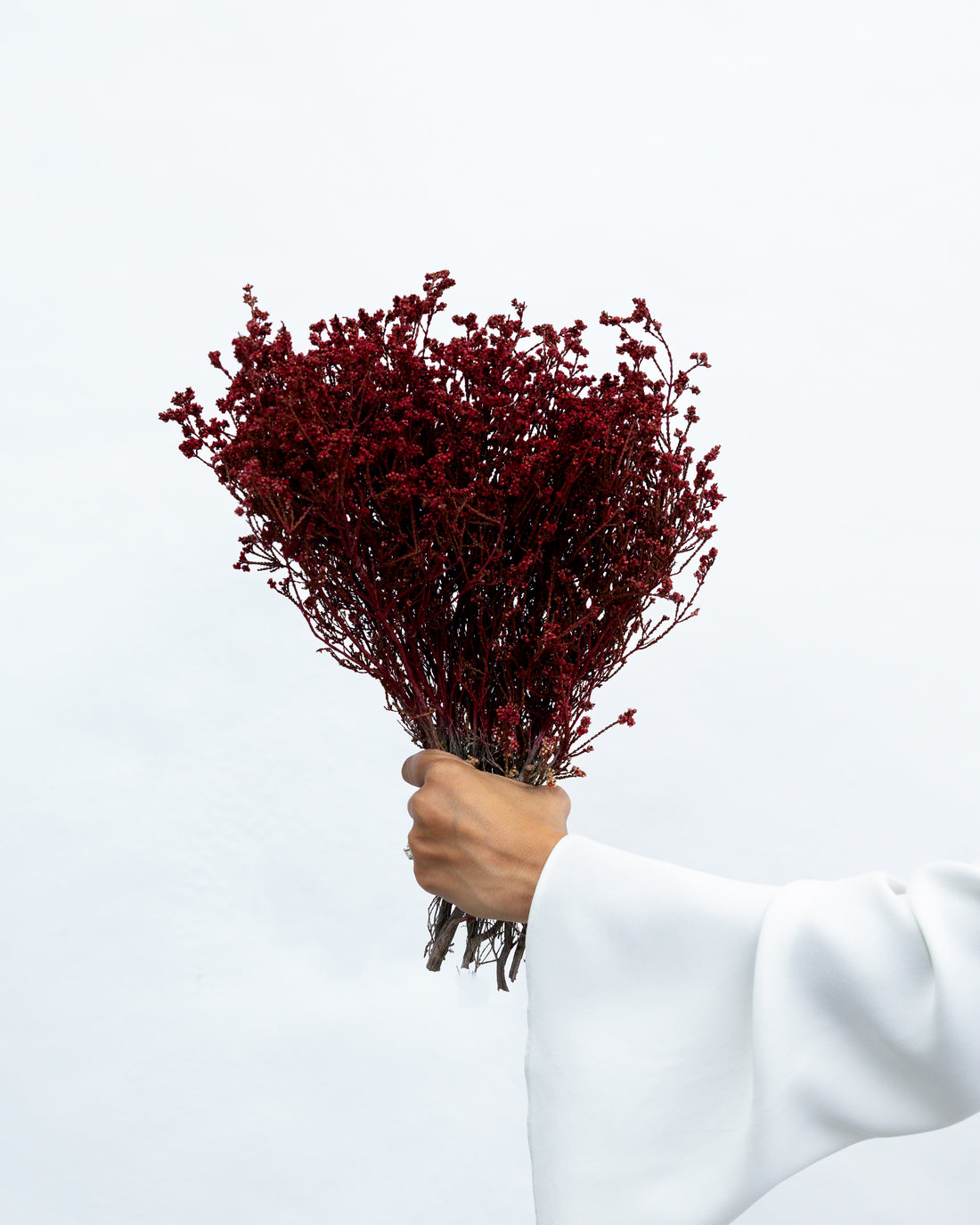 DRIED SCHOLTZIA | BURNT RED