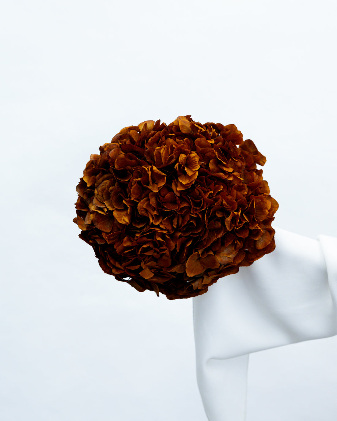 PRESERVED HYDRANGEA STEM I BURNT ORANGE I LARGE-LEAF