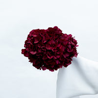 PRESERVED HYDRANGEA STEM I BURGUNDY I LARGE-LEAF