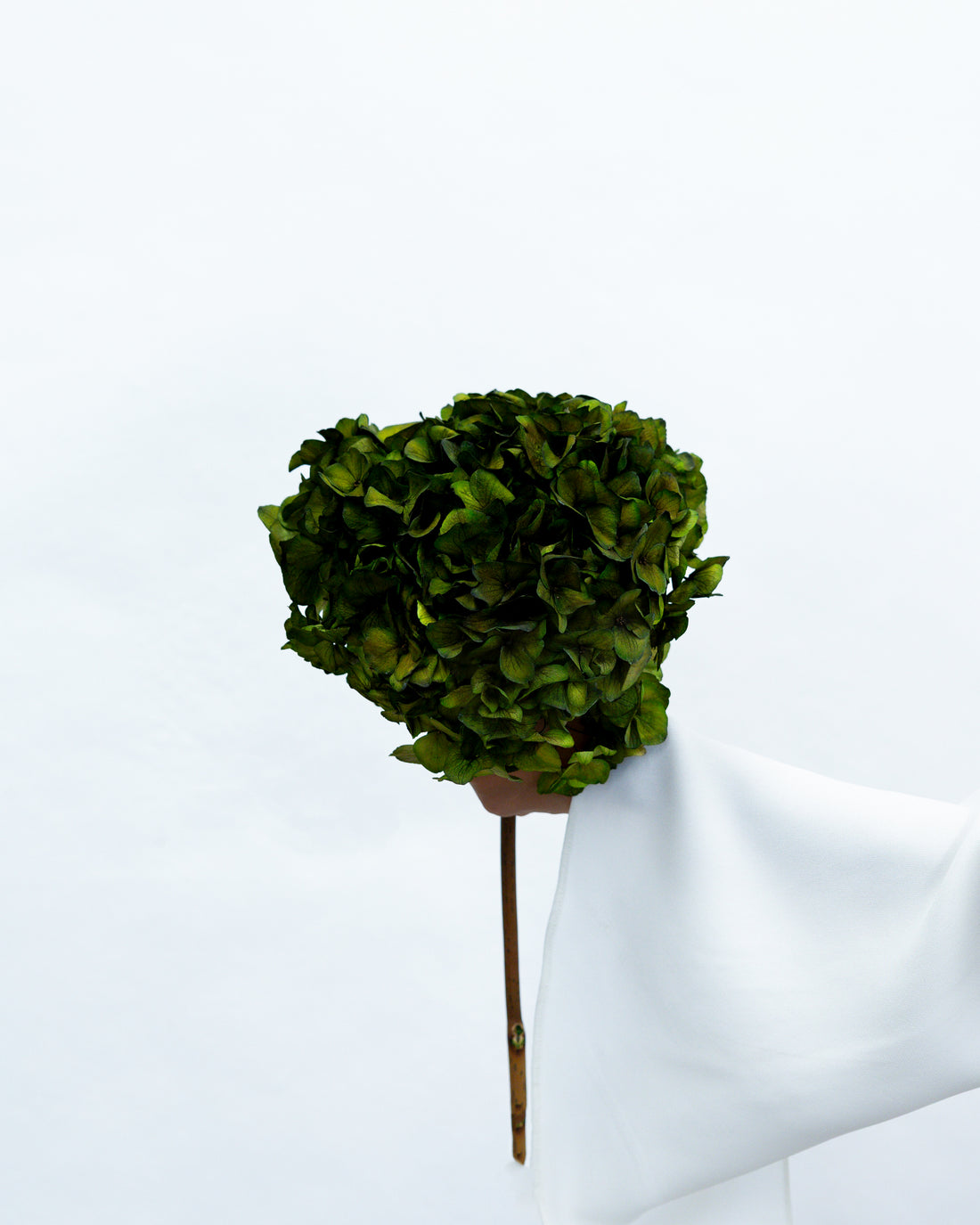 PRESERVED HYDRANGEA STEM I DEEP GREEN I LARGE-LEAF