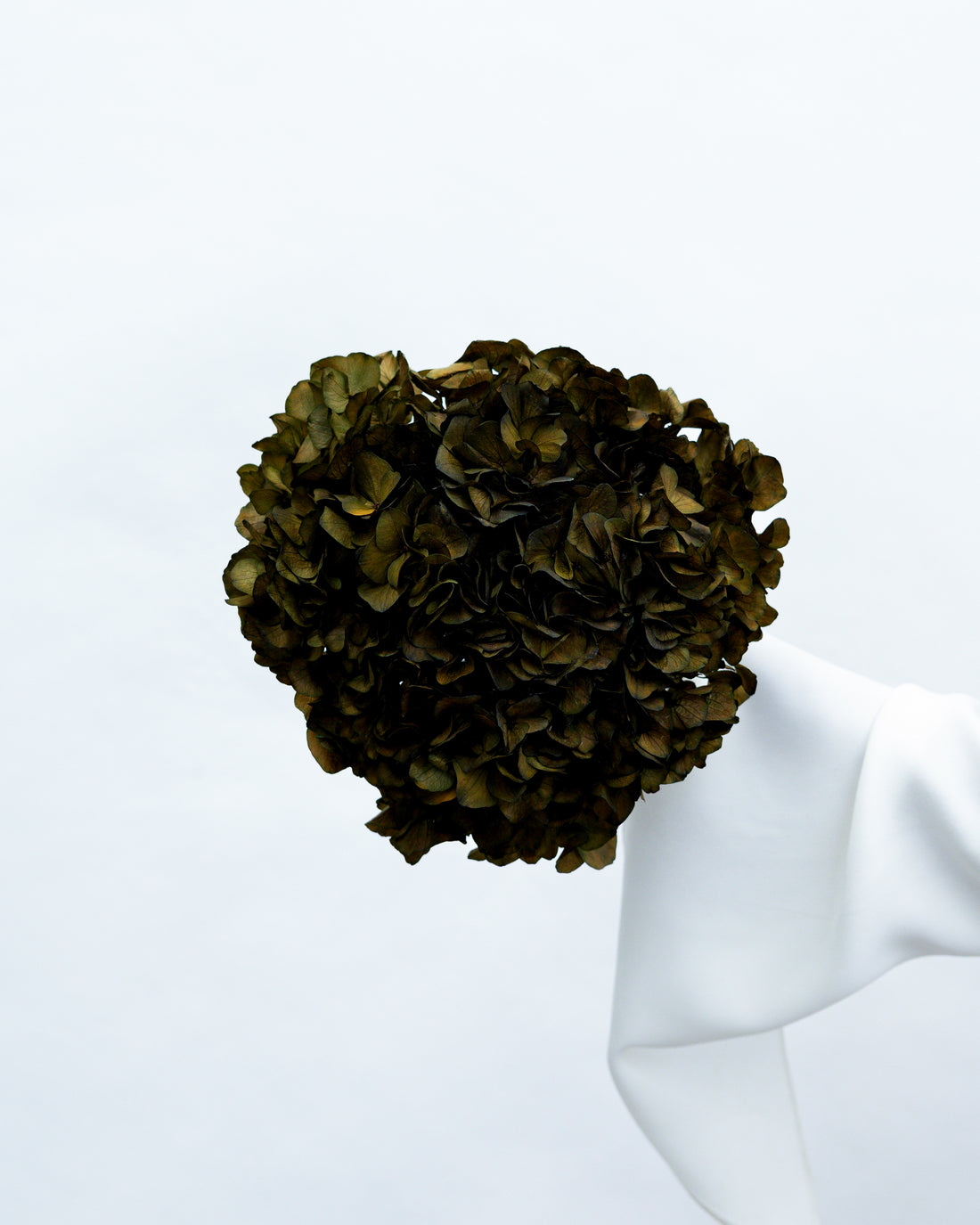 PRESERVED HYDRANGEA STEM I OLIVE GREEN I LARGE-LEAF