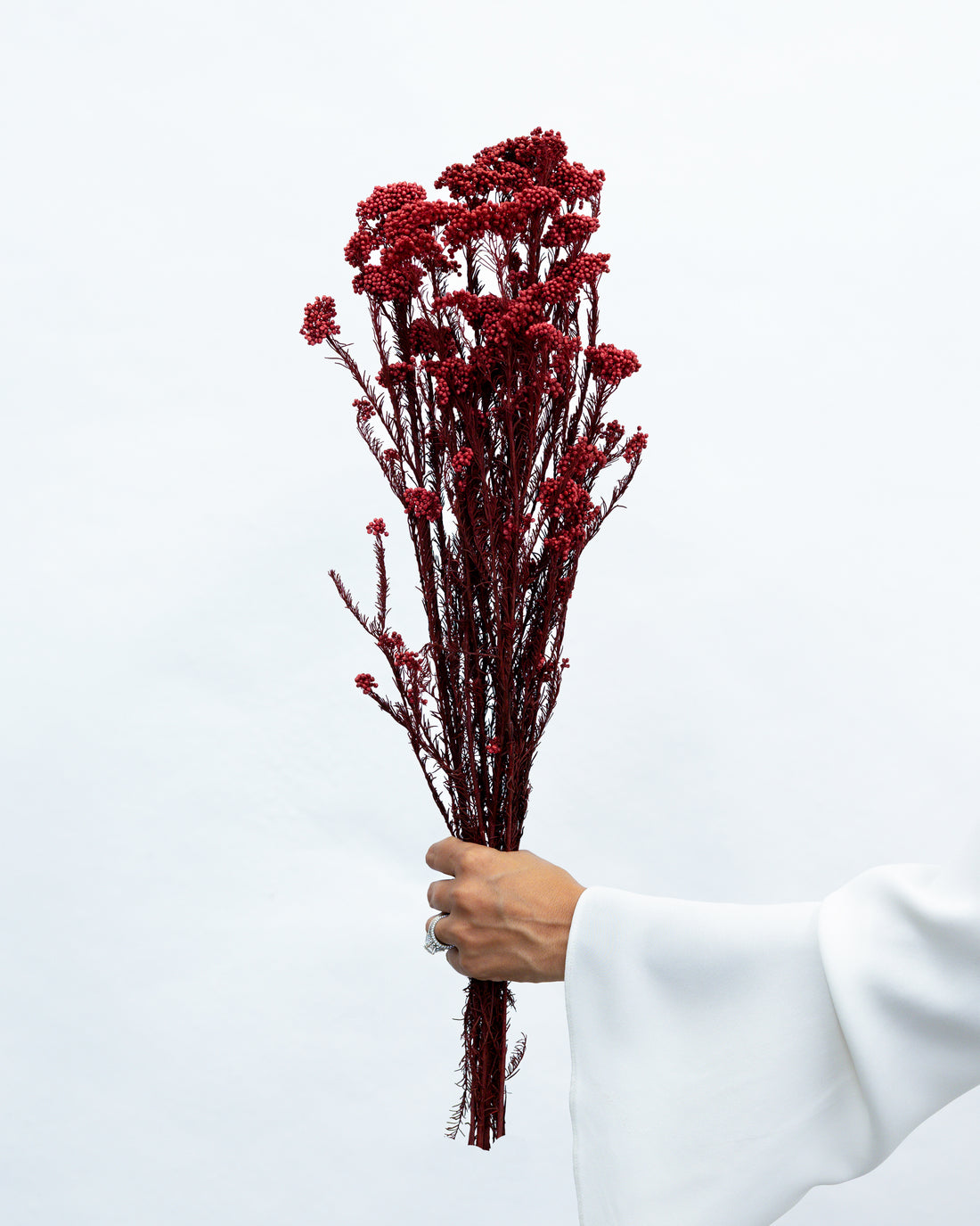 PRESERVED RICE FLOWER | DEEP RED
